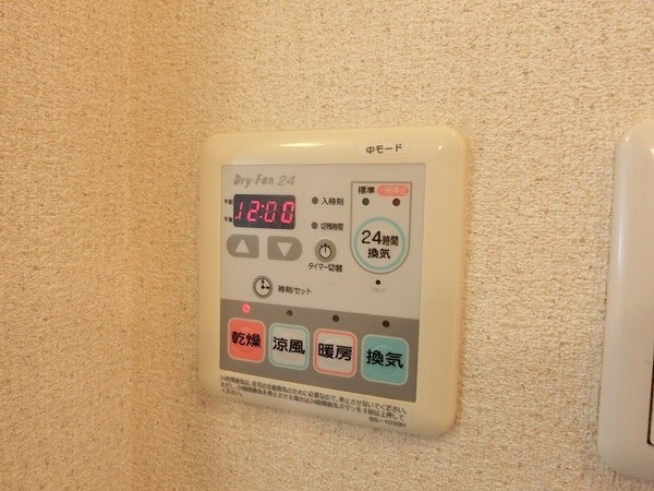 アナスタシア片蔵　Ｂ