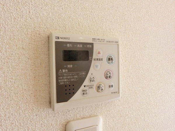 アナスタシア片蔵　Ｂ