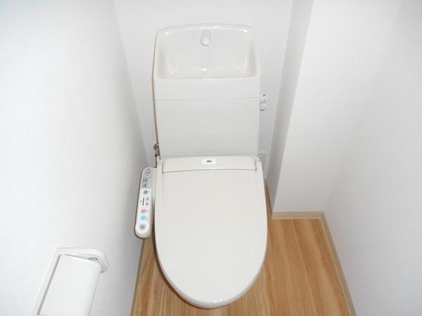 Ｂｌａｎｃ　Ｌｉａｉｓｏｎ