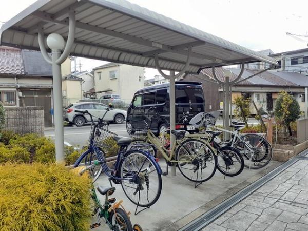 シェーネ　康
