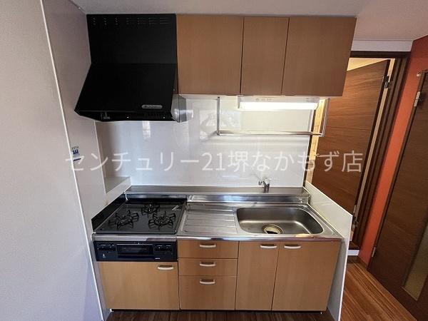 カーサデステラマリス