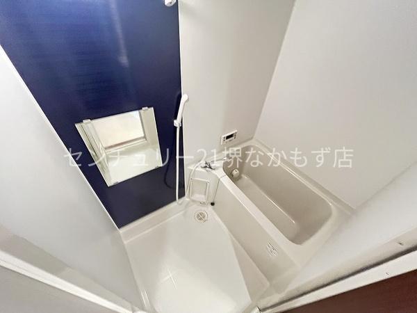 カーサデステラマリス