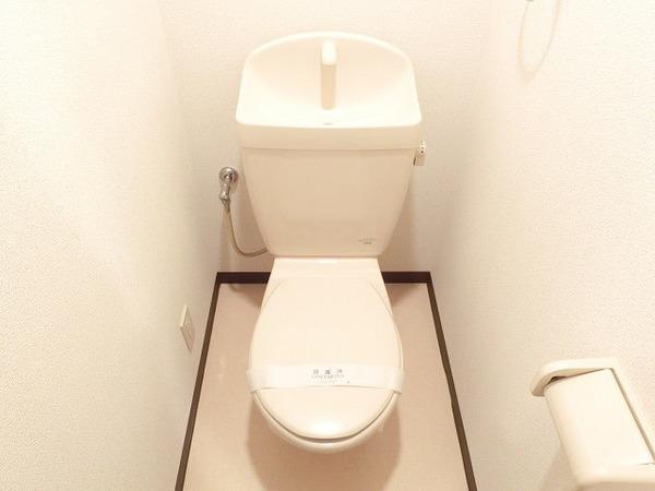 ミーティスルーチェ