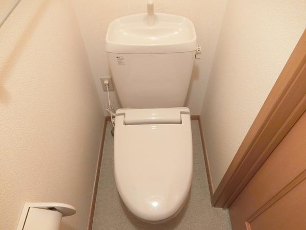 カーサステラ