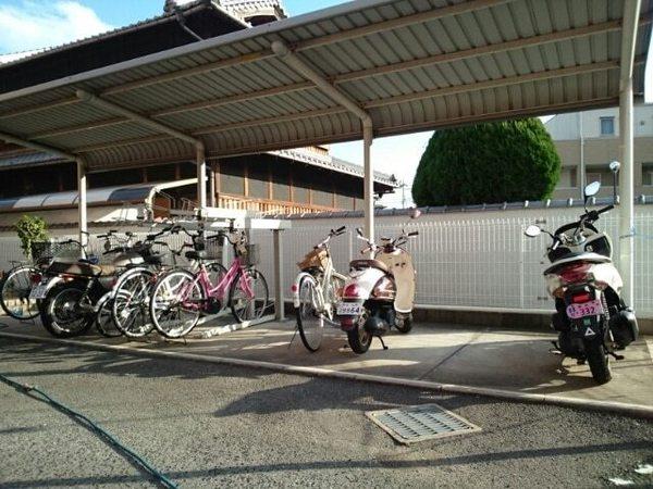 サングレイス１