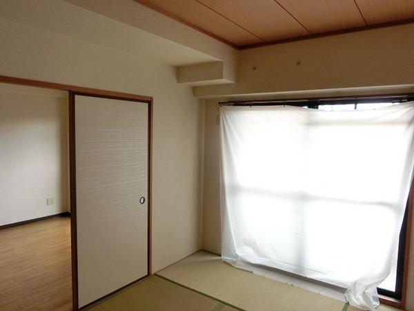 コートグレース
