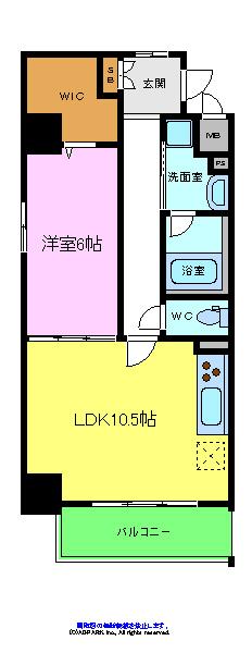 コージーコート