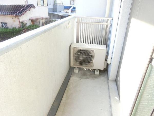 プラシード