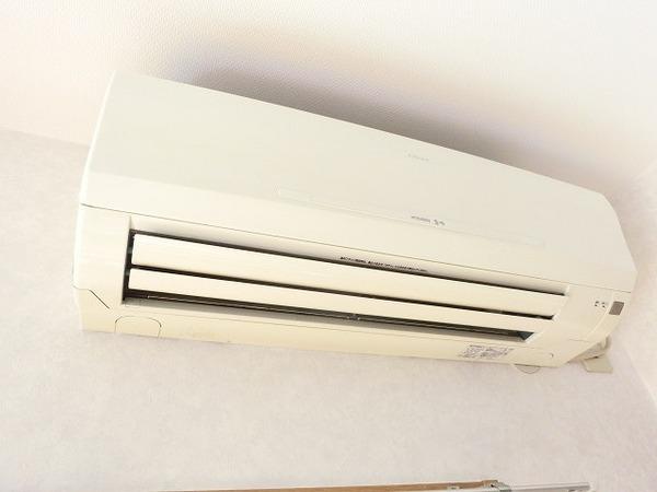 プラシード