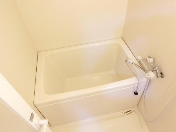 プラシード