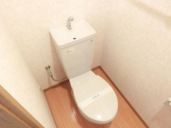 プラシード