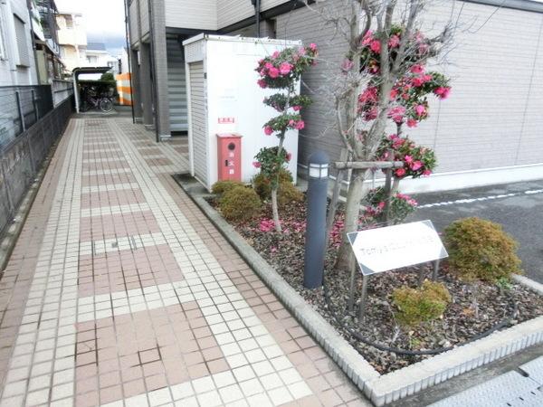 Ｔｏｍｙ’ｓ　ｃｏｕｒｔ北花田