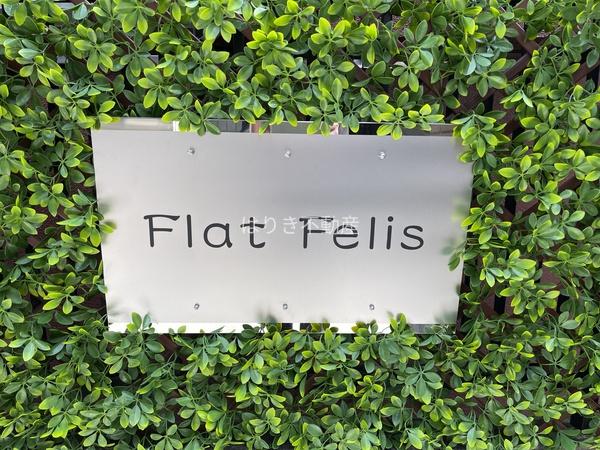 FlatFelis