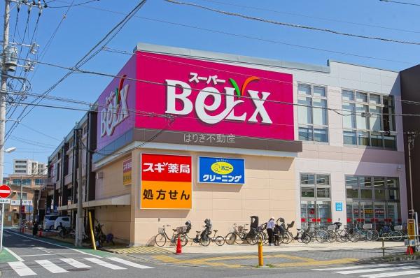 ダイアパレス・ステーションプラザお花茶屋(ベルクス　お花茶屋)