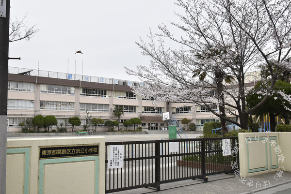 エルスタンザ四ツ木(葛飾区立渋江小学校)