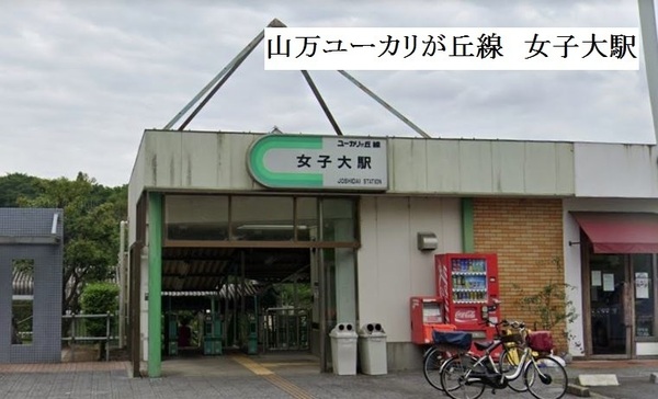 佐倉市宮ノ台2丁目の貸家(女子大駅(山万ユーカリが丘線))
