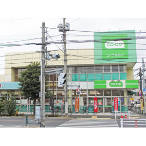 江戸川区東小岩１丁目のマンション(ミニコープ小岩店)