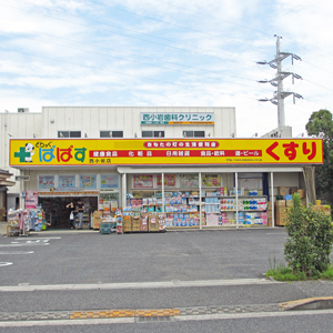 江戸川区東小岩１丁目のマンション(どらっぐぱぱす南小岩店)