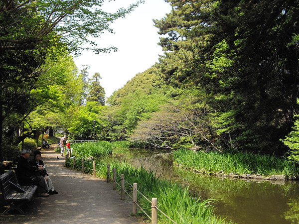 セローセロー自由が丘(宝来公園)