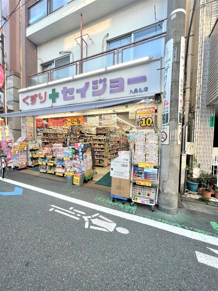 世田谷区奥沢５丁目のマンション(くすりセイジョー九品仏店)