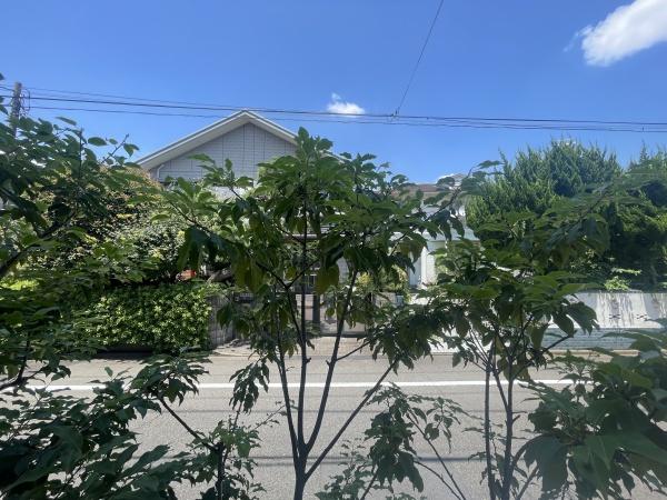 Luce等々力