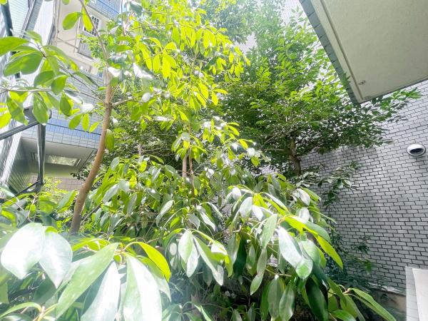 フロント等々力