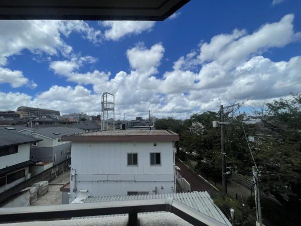 チェリーブロッサム八雲