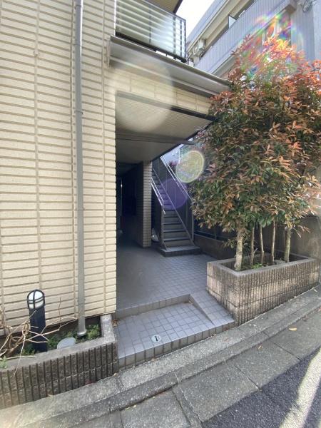 ドミール・S