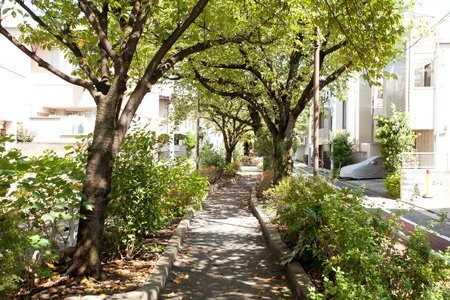 ウェルスクエア都立大学(呑川柿の木坂支流緑道)