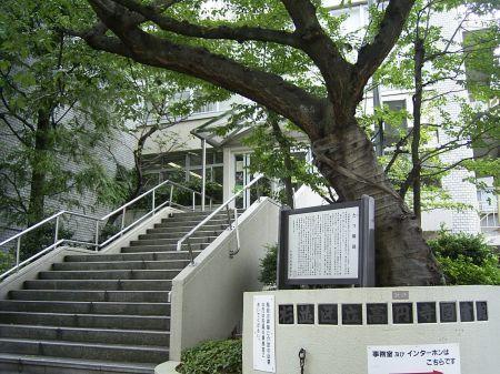 チァフル高円寺(杉並区立高円寺図書館)