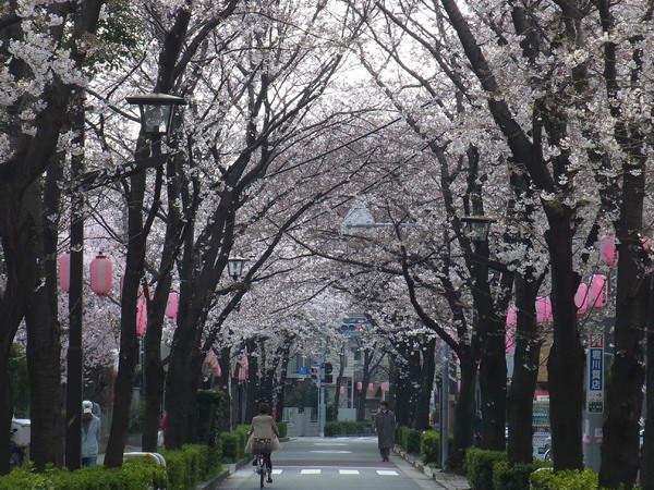 AGRACES武蔵小山Ⅱ(立会川緑道)