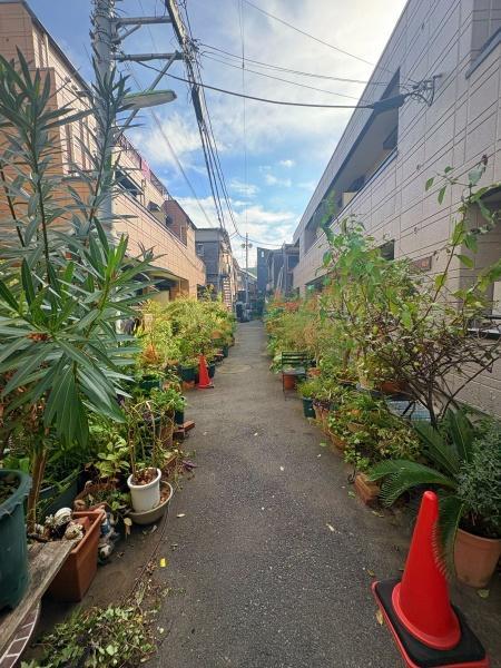 メゾン桐原