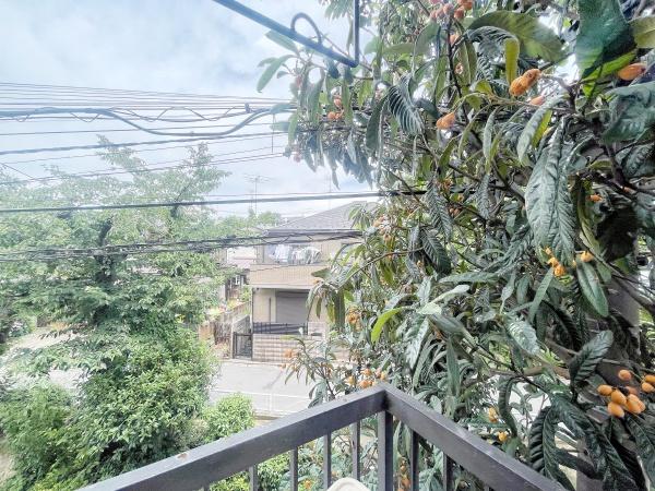 世田谷区奥沢２丁目のハイツ