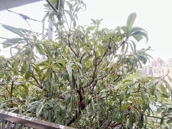 世田谷区奥沢２丁目のハイツ