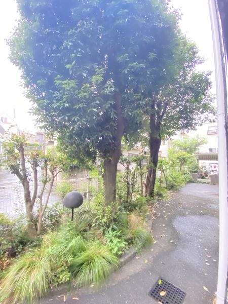 ティブロンコート