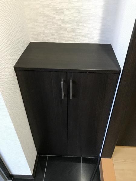 ミルキーウェイ　フジ