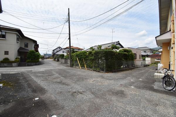 アピタエンドウ