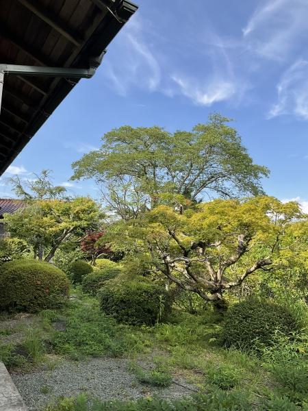 富士市北松野のその他
