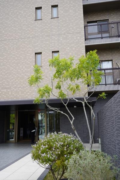 レーベン富士吉原本町