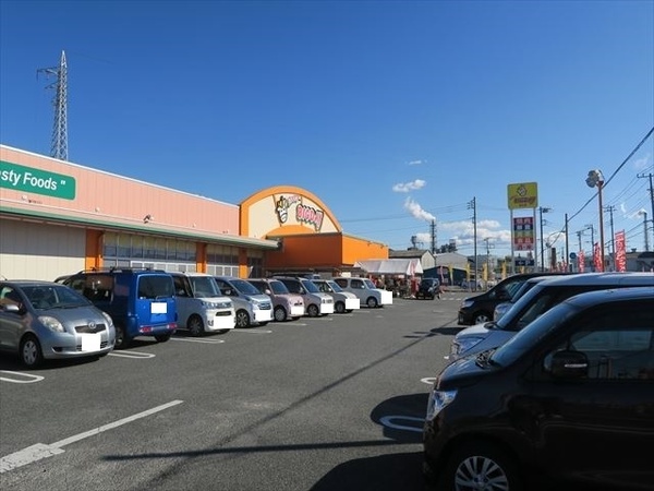 ルナハイツ(エブリィビッグデー富士店)
