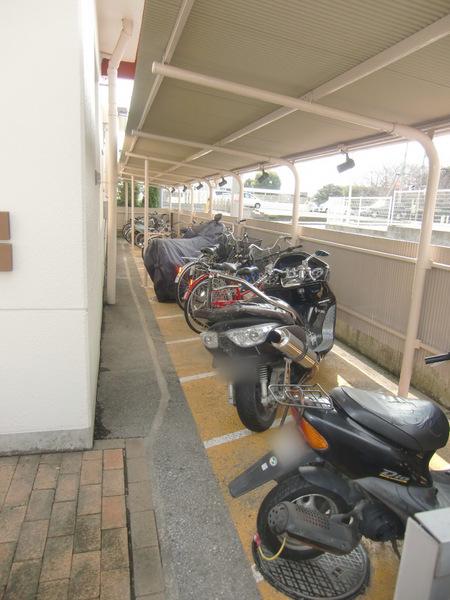 シャインクロコ