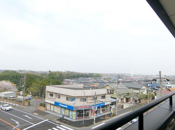 第５フェニックス