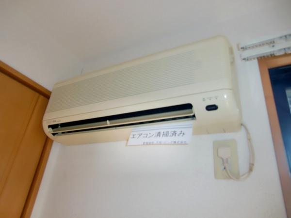 ステジュアンＢ