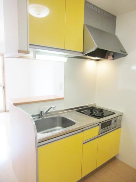 ノーベルパーク16(キッチン)