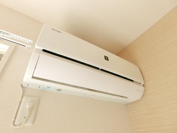 ｂセミカ