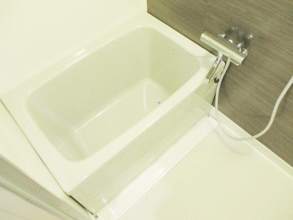 シャインクロコ