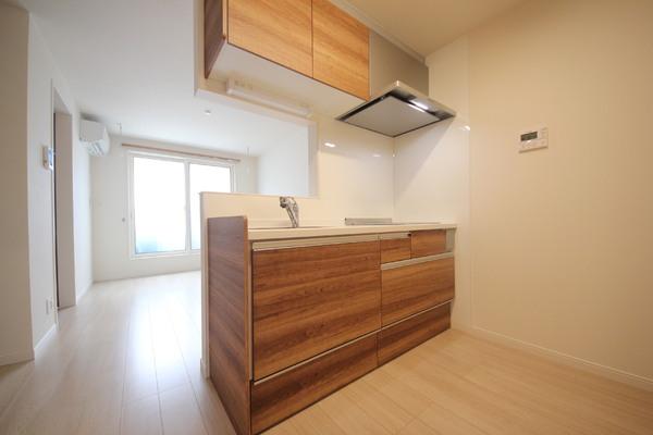 BelleLeadHIRAKI(キッチン)