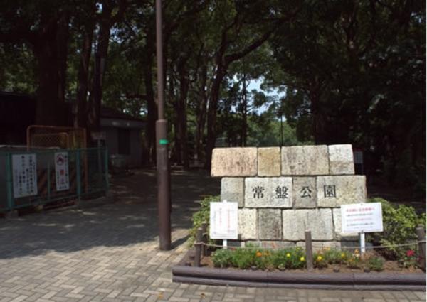 コーポ石塚(岸根公園)