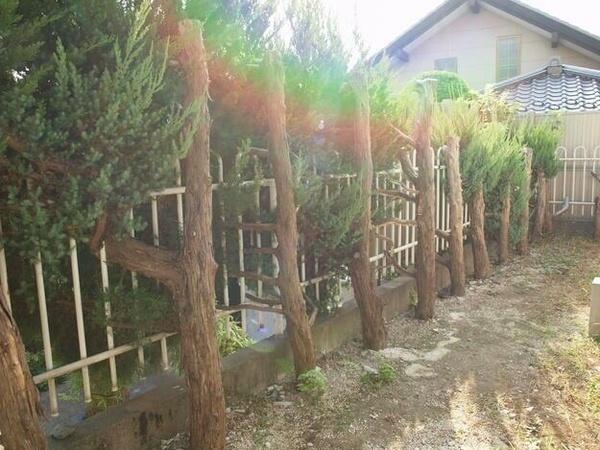 横浜市保土ケ谷区岡沢町の貸家