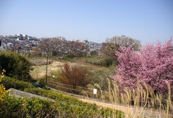 横浜市南区永田南１丁目のマンション(六ツ川中央公園)